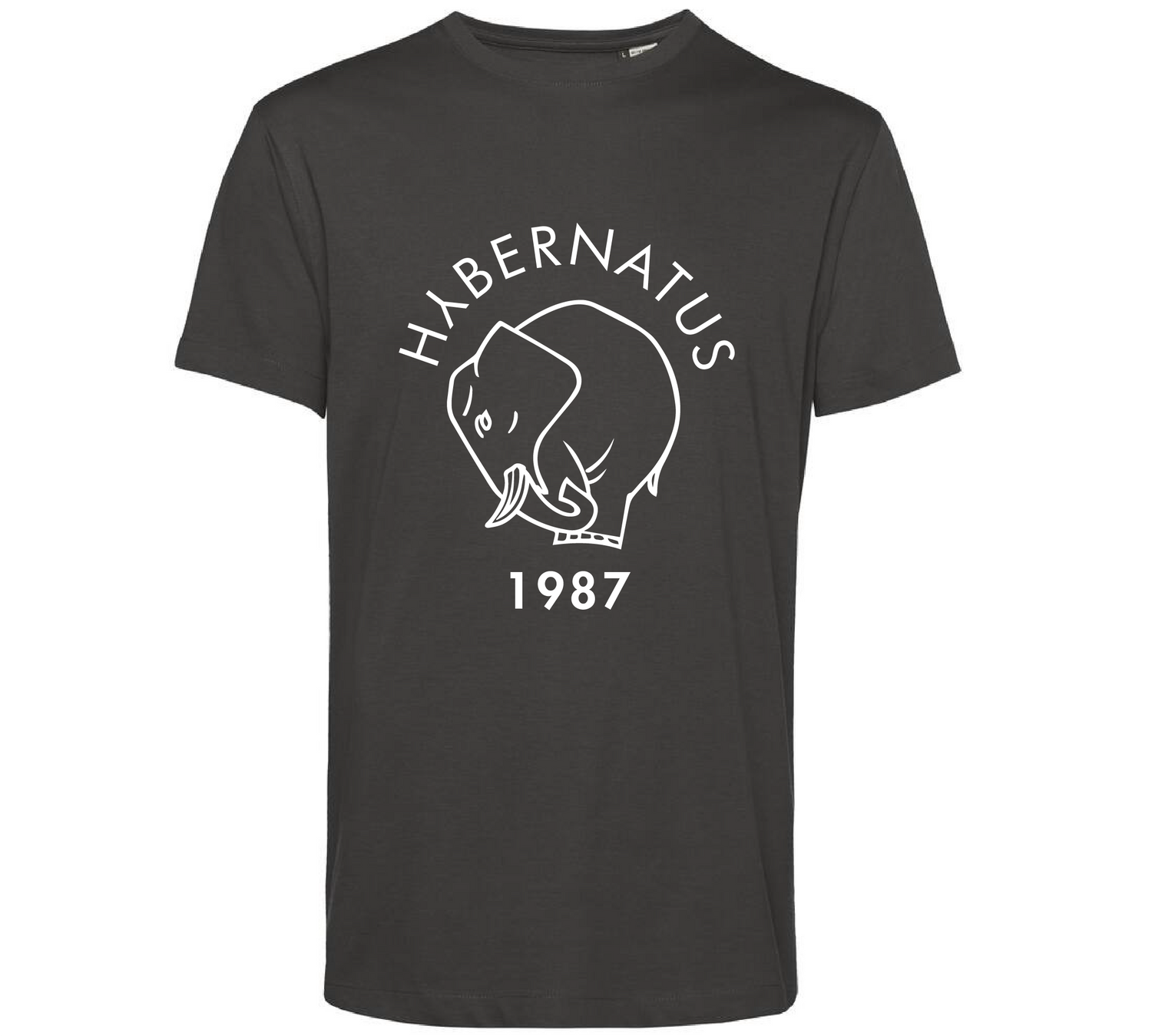 t-shirt hybernatus gris de la collection SNPN