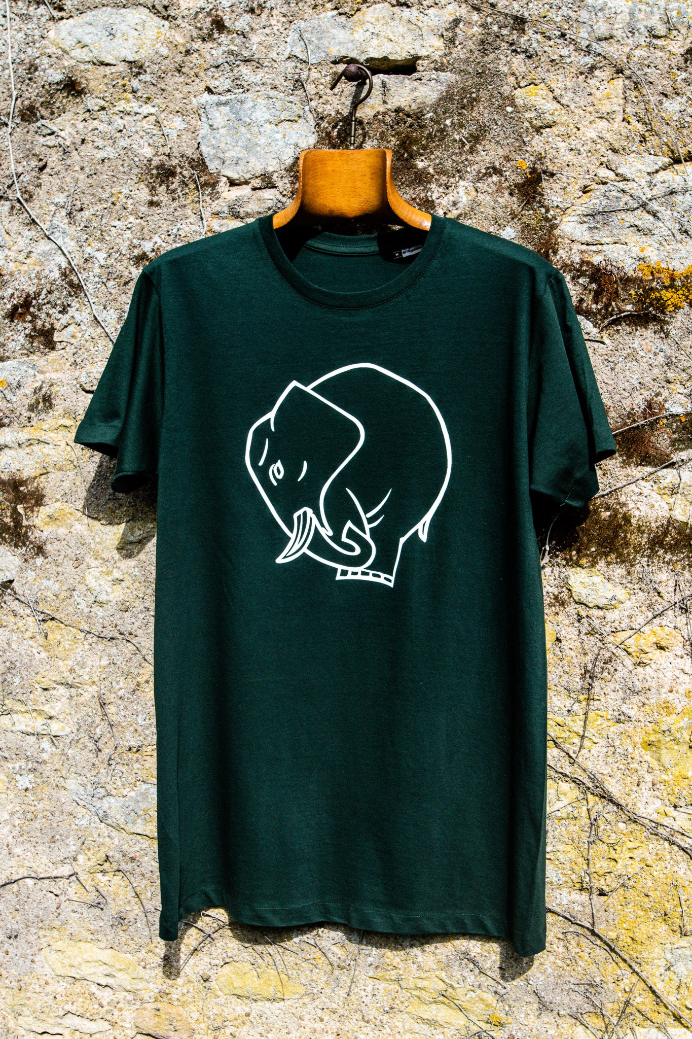 t-shirt hybernatus vert forest porté sur cintre