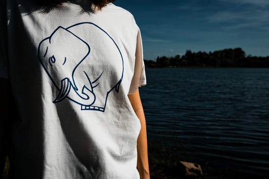 photo t-shirt hyberntaus de côté sur fond du lac