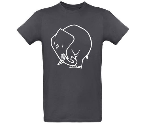 T-shirt Hybernatus Dark Grey - Unisexe